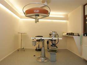 Main surgery room - Surgery and anesthesia