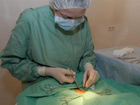 Surgery in our practice - Surgery & anesthesia