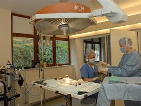 anesthésie - Une chirurgie chez MonVt