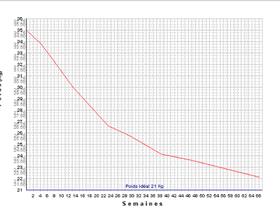 Weight loss curve - Prevention and treatment of obesity
