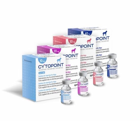 Cytopoint die neue Behandlung der Atopie des Hundes? News News & Blog