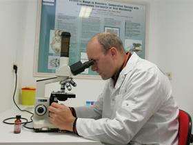 Microscopic examination - Tierarztspezialist Dermatologie