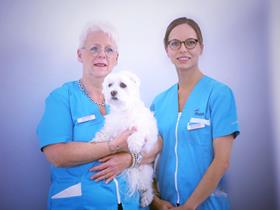 Unsere Krankenschwestern - Wir stellen eine Tierarzthelferin ein