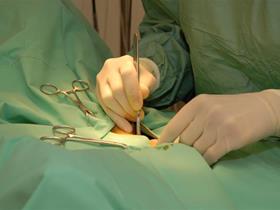 Surgery in our practice - Surgery & anesthesia