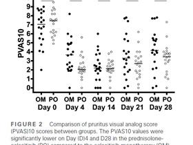 Oclacitinib: verminderd prednisolon 4-daags rebound-effect