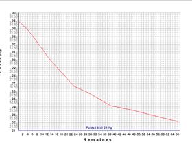 Weight loss curve - Preventie van obesitas