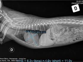 Yorkshire Thorax - Neue digitale Röntgenmaschine