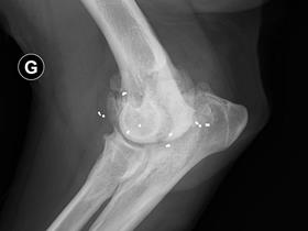 Goldtreat®-implantaten - Gold Treat implantaten voor het behandelen van enkele gevallen van artrose