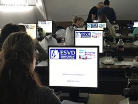 ESVD Workshop "Advanced Cytology for Veterinary Dermatologist": Praktisch deel