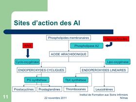 Inflammation - Nouvelle classe d'anti-inflammatoires: les Piprants