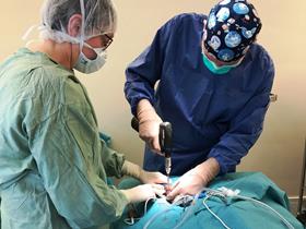 Knee surgery - Surgery and anesthesia
